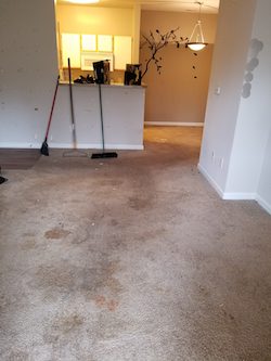 Apartment Clean Out Indianapolis