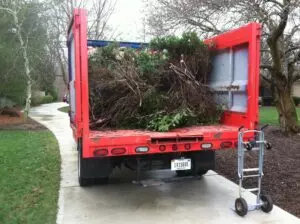 Tree Brush Disposal Indianapolis