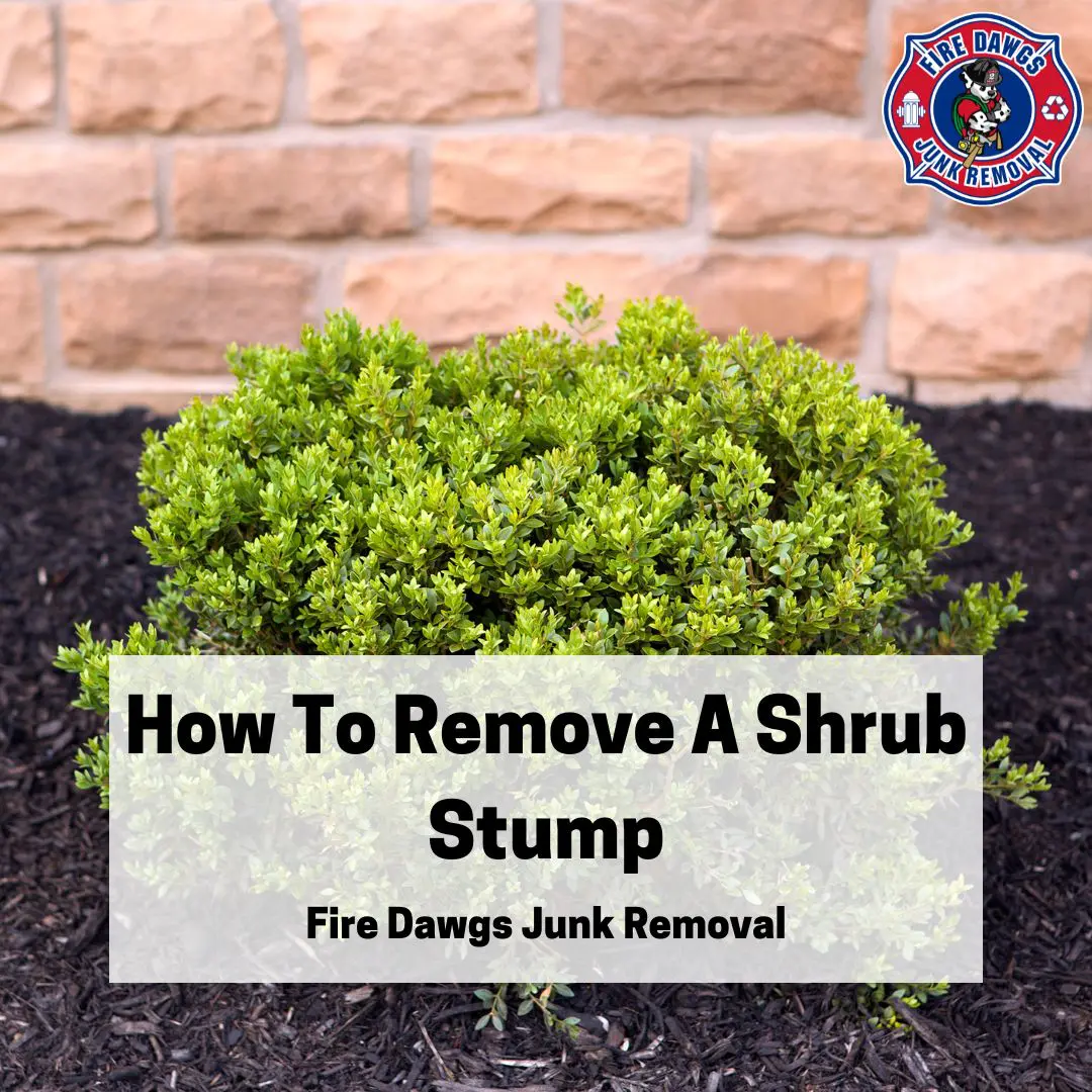 A Graphic for How To Remove A Shrub Stump