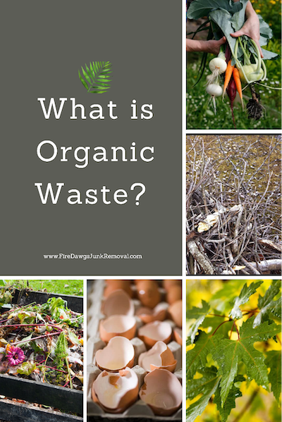 picture showing What is Organic Waste