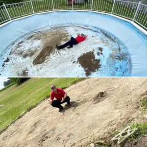 A Picture of Above Ground Pool Removal Evansville
