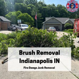 A Graphic for Brush Removal Indianapolis IN