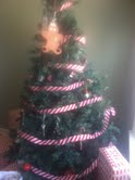 Christmas Tree Removal Indianapolis