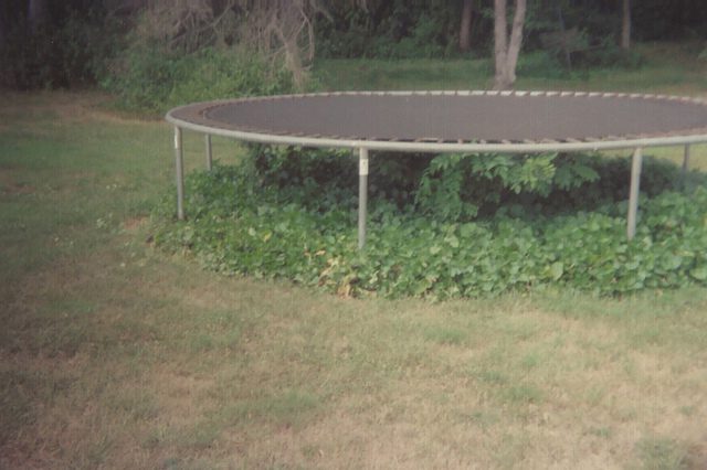 Trampoline Removal Indianapolis