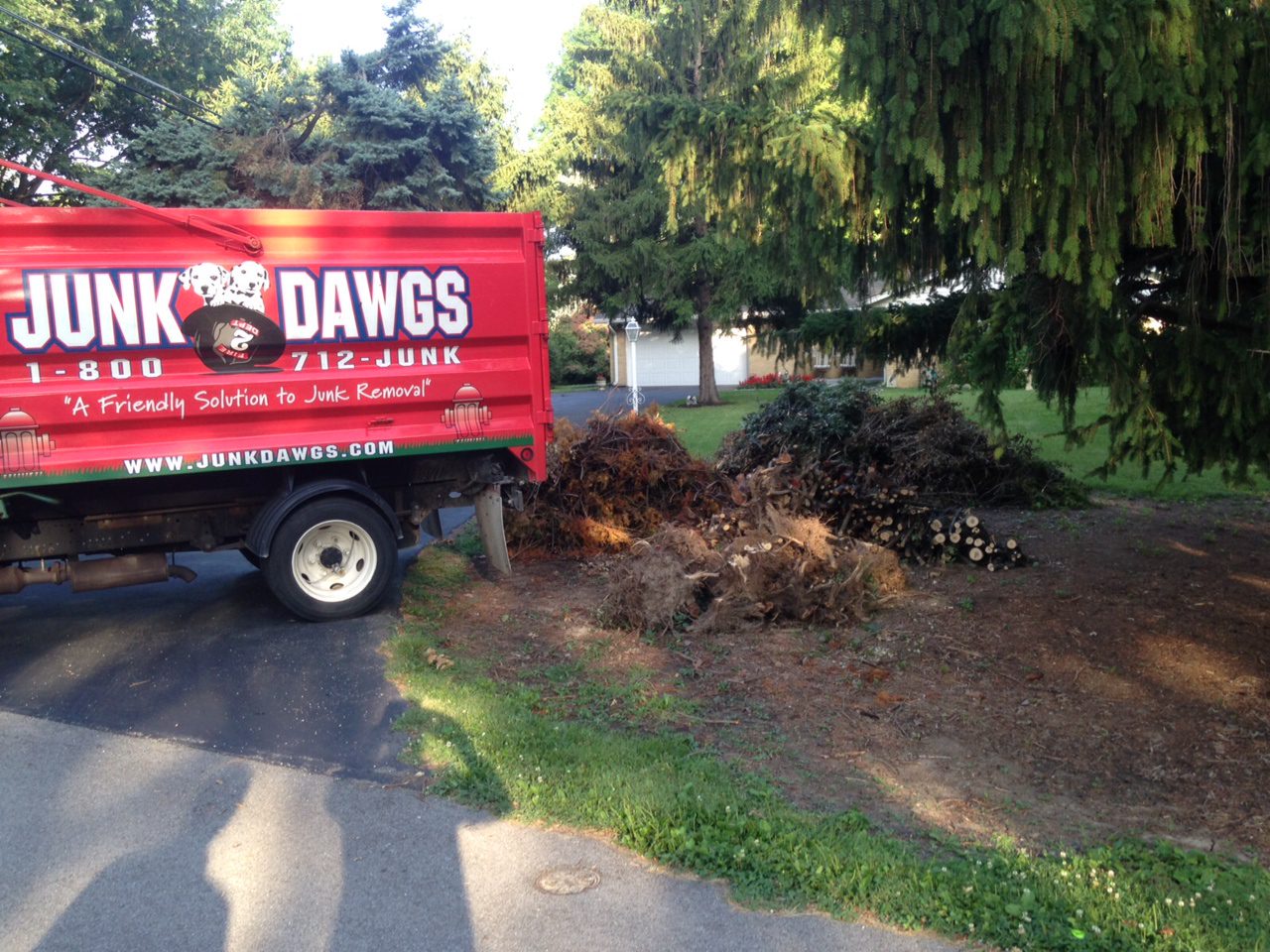 Tree Branch Removal Indianapolis