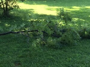 Storm Cleanup Indianapolis IN