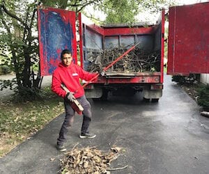 Who Hauls Away Brush in Indianapolis?