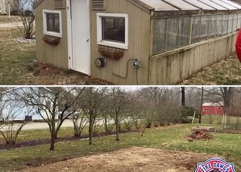 Greenhouse Removal Indianapolis