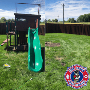 before and after picture of Play Set Removal in Zionsville