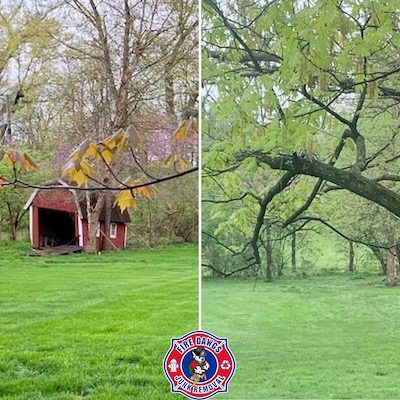 Mini Barn Removal In Indianapolis Fire Dawgs Junk Removal