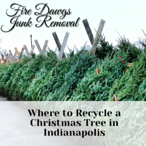 Where to Recycle a Christmas Tree in Indianapolis