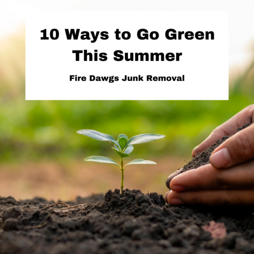 10 Ways to Go Green this Summer