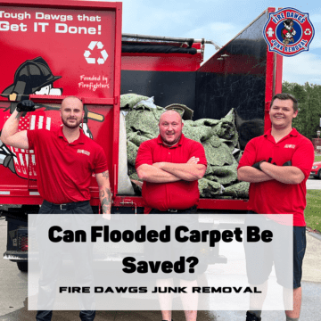 A Graphic for Can Flooded Carpet Be Saved