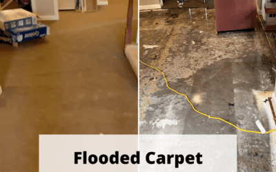 Flooded Carpet Removal Fort Wayne