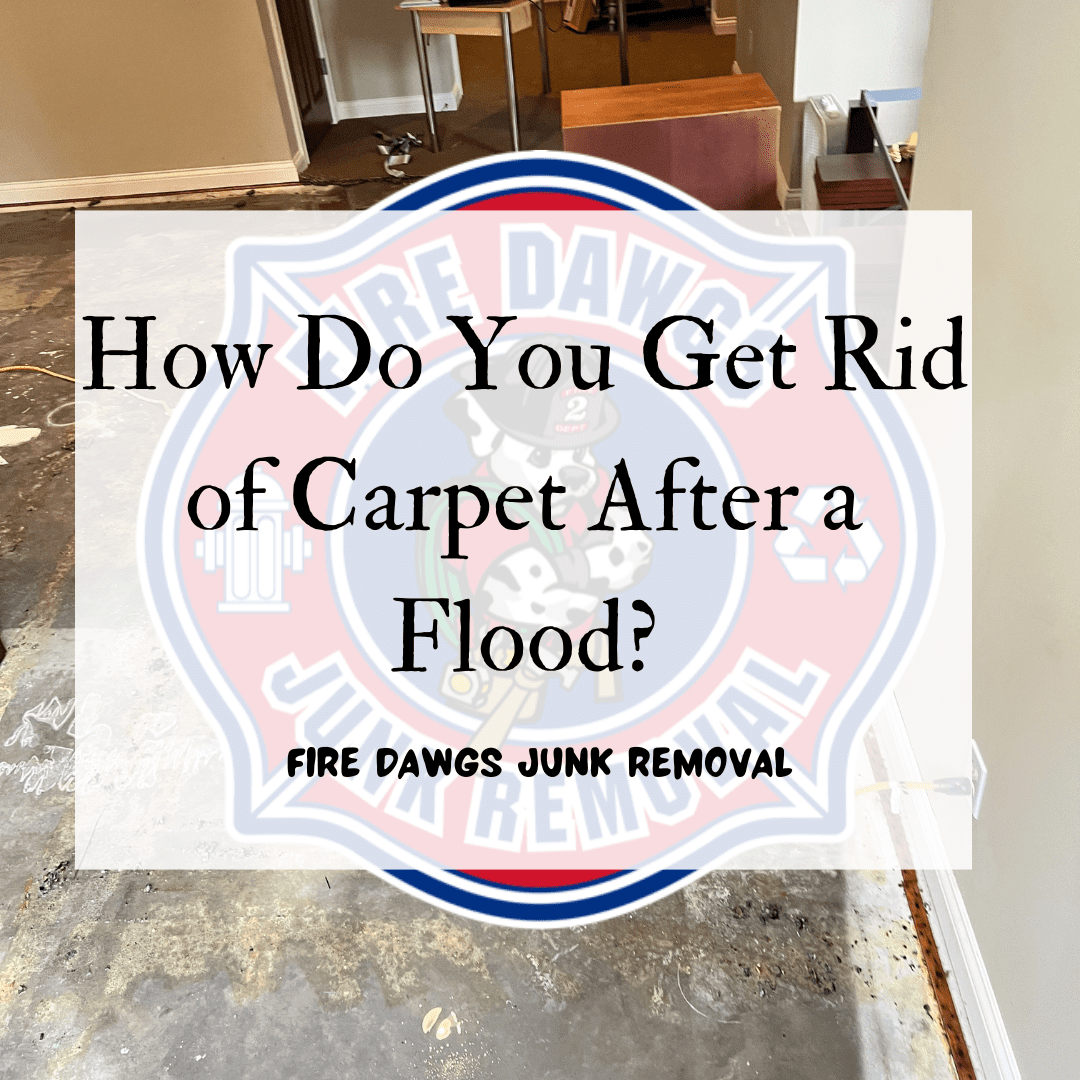A Graphic for How Do You Get Rid of Carpet After a Flood