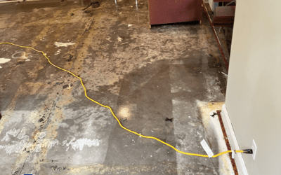 Flooded Carpet Removal Indianapolis