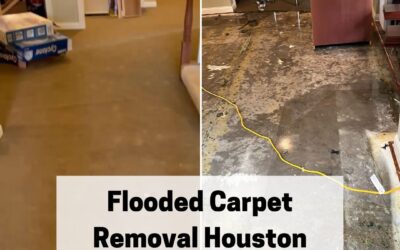 Flooded Carpet Removal Houston