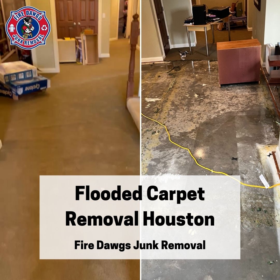 A Graphic of Flooded Carpet Removal Houston