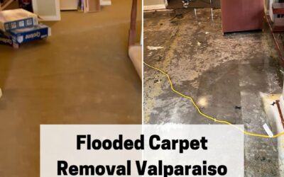 Flooded Carpet Removal Valparaiso