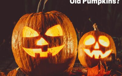 What Should You Do With Old Pumpkins?
