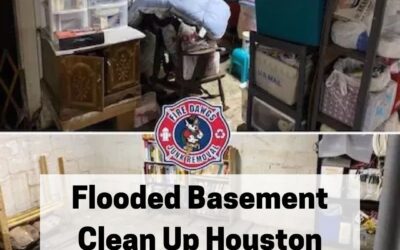 Basement Flood Cleanup Houston