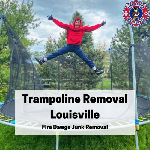 A Graphic for Trampoline Removal Louisville