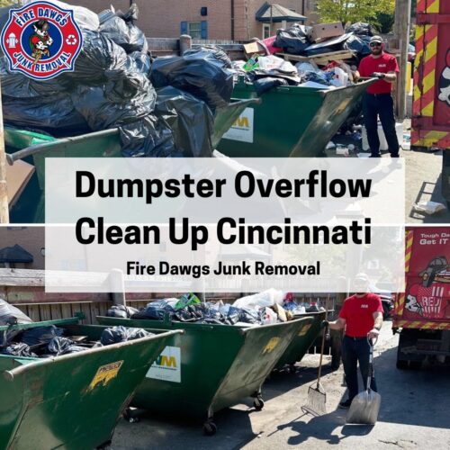 A Graphic for Dumpster Overflow Clean Up Cincinnati