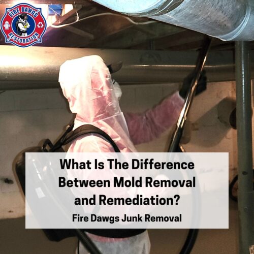 https://firedawgsjunkremoval.com/wp-content/uploads/2023/10/What-Is-The-Difference-Between-Mold-Removal-and-Remediation-1-e1696967276668.jpg