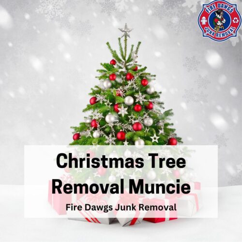 A Graphic for Christmas Tree Removal Muncie
