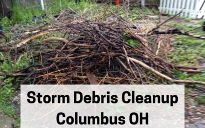 Storm Debris Cleanup Columbus OH