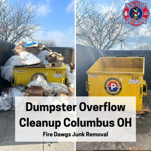 A Graphic for Dumpster Overflow Cleanup Columbus OH