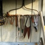 Old Rake Holding Garden Tools