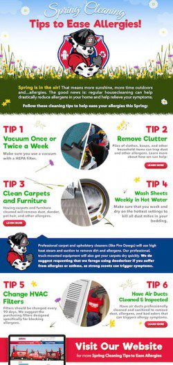 Spring Cleaning Tips to Reduce Allergens