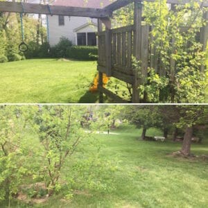 wooden swing set removal Indianapolis